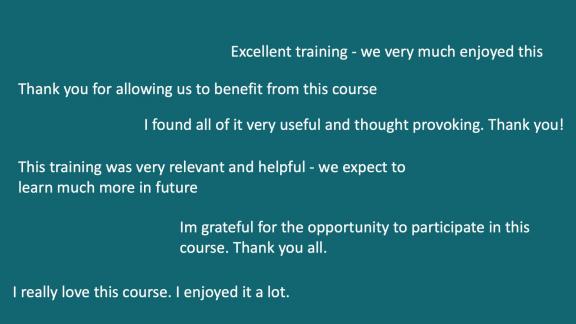 Citações e comentários dos participantes no workshop